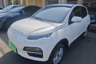 大运 悦虎 2022款 300 标准版