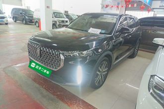 奔腾T99 2021款 20TD 自动机长版