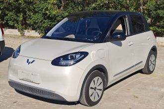 五菱汽车 五菱缤果 2023款 333km 快享款