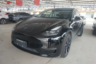 特斯拉 Model Y 2021款 标准续航后驱版