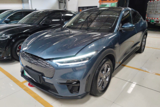 福特电马 2021款 跃世后驱版(标准续航)