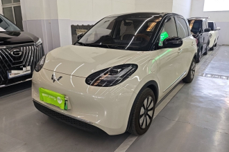 五菱汽车 五菱缤果 2024款 333km 悦享款