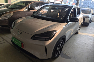 五菱汽车 五菱缤果PLUS 2024款 330km 五座版