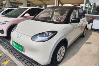 五菱汽车 五菱缤果 2025款 203km 轻享款