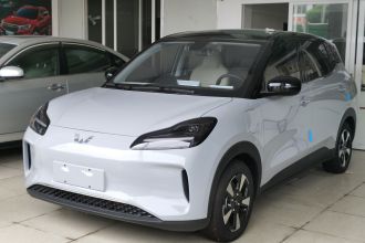 五菱汽车 五菱缤果PLUS 2024款 330km 五座版