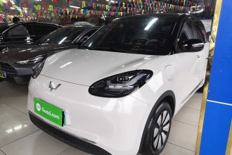 五菱汽车 五菱缤果 2024款 333km 灵犀互联款