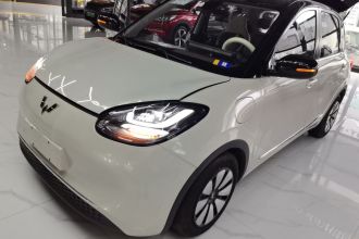五菱汽车 五菱缤果 2023款 333km 悦享+款
