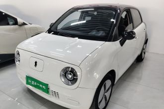 欧拉黑猫 2021款 301km 基础型