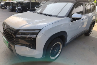 五菱汽车 星光560新能源 2026款 插混 125km 豪华型