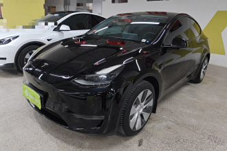 特斯拉 Model Y 2021款 标准续航后驱版