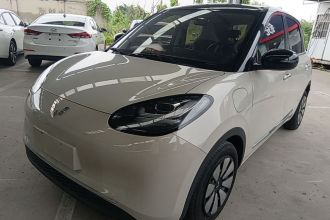 五菱汽车 五菱缤果 2023款 333km 悦享+款