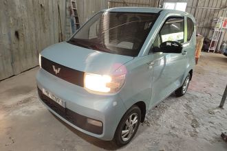 五菱汽车 宏光MINIEV 2020款 自在款 磷酸铁锂