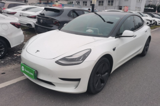特斯拉 Model 3(进口) 2019款 标准续航后驱升级版