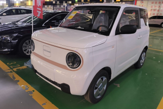 吉利银河 2024款 熊猫mini 200km 耐力熊