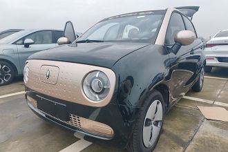 欧拉黑猫 2021款 301km 萌宠版