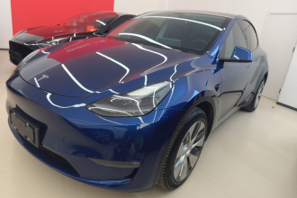 特斯拉 Model Y 2021款 长续航全轮驱动版 3D7