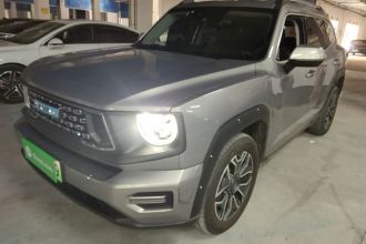 哈弗大狗 PLUS 新能源 2023款 DHT-PHEV 105km 潮电版Plus