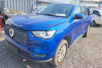 长城 炮 2019款 2.0T商用版自动汽油两驱精英型长箱GW4C20B