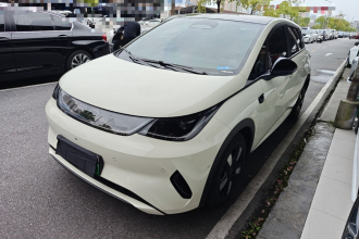 比亚迪 海豚 2025款 智驾版 410km 时尚版