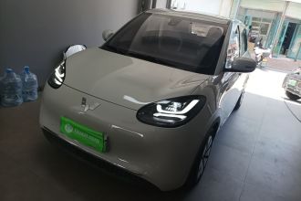 五菱汽车 五菱缤果 2023款 333km 快享款