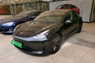 特斯拉 Model 3 2021款 改款 标准续航后驱升级版 3D1