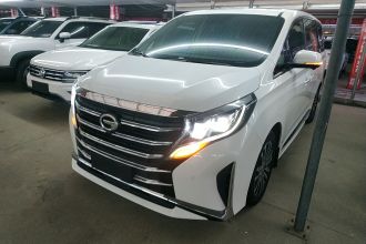 广汽传祺 传祺M8 2021款 领秀系列 390T 至尊版