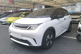 比亚迪 海豚 2023款 420km 时尚版