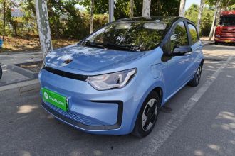 思皓 2022款 花仙子款 四叶草