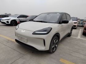 五菱汽车 五菱缤果PLUS 2024款 330km 五座版