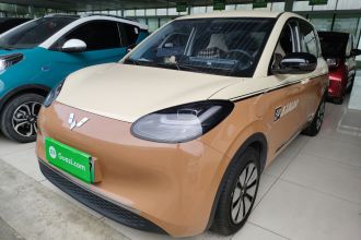 五菱汽车 五菱缤果 2024款 333km 悦享款