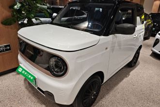吉利银河 2023款 熊猫mini 200km 耐力熊