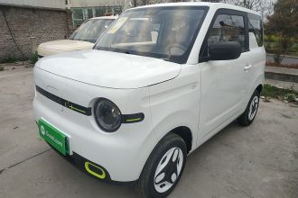 吉利银河 2025款 熊猫mini 210km 元气熊
