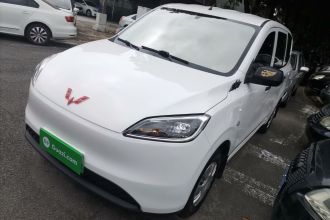 五菱汽车 五菱宏光新能源 2024款 纯电版 300KM 标准型
