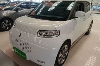 欧拉白猫 2020款 305km 豪华型