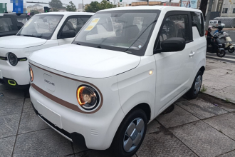 吉利银河 2024款 熊猫mini 200km 耐力熊