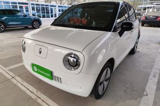 欧拉黑猫 2022款 301km 基础型 三元锂