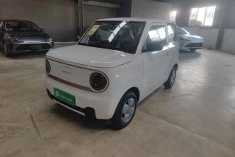 吉利银河 2024款 熊猫mini 200km 耐力熊