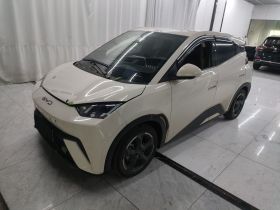 比亚迪 海鸥 2023款 飞翔版