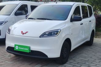 五菱汽车 五菱宏光新能源 2024款 纯电版 300KM 标准型