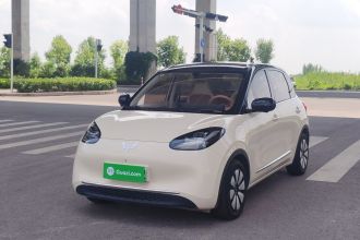 五菱汽车 五菱缤果 2025款 333km 灵犀尊享款