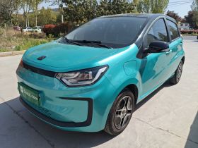 思皓 2022款 花仙子款 四叶草