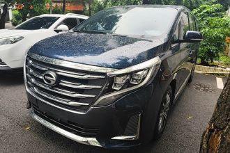 广汽传祺 传祺M8 2020款 领航款 390T 尊贵版