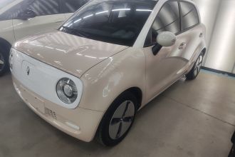 欧拉黑猫 2021款 301km 基础型