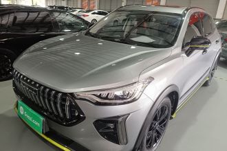 哈弗赤兔 2021款 激擎版 1.5T 黄金兔