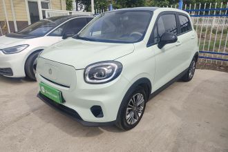 零跑汽车 零跑T03 2024款 310舒享版