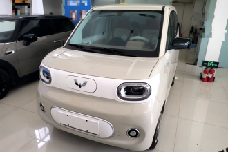 五菱汽车 宏光MINIEV 2024款 第三代 215km 青春版