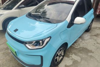 思皓 花仙子 2021款 302km 豪华型 31.4kWh