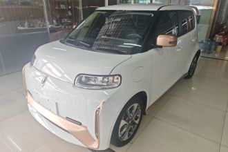 欧拉白猫 2022款 小野猫版 360km 豪华型 三元锂