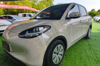 五菱汽车 五菱缤果 2023款 203km 轻享款