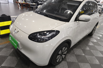 五菱汽车 五菱缤果 2023款 333km 悦享款